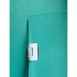 Sealskin Swingdeur Voor Nis I AM 70x200 Cm RVS -Sealskin 123 1232