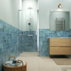 Draaideur In Nis Helder Veiligheidsglas Met Antikalklaag Sealskin Inc. 90x200 Cm Zilver Hoogglans